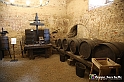 VBS_7443 - Inaugurazione Messer Tulipano 2022 Castello di Pralormo - XXII Edizione